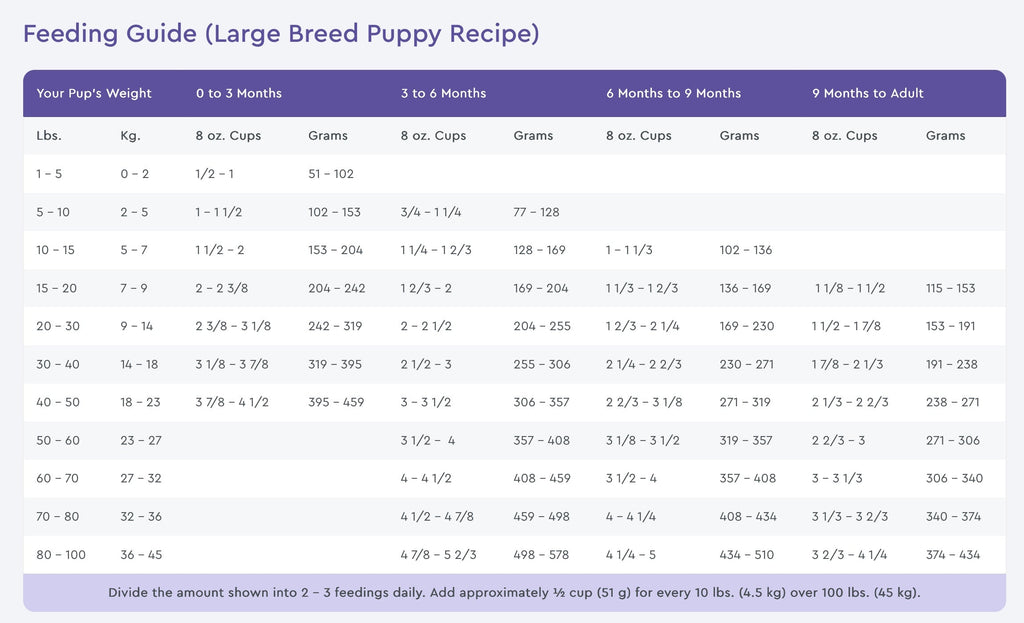 NutriSource Large Breed Puppy Chicken and Rice Dry Dog Food