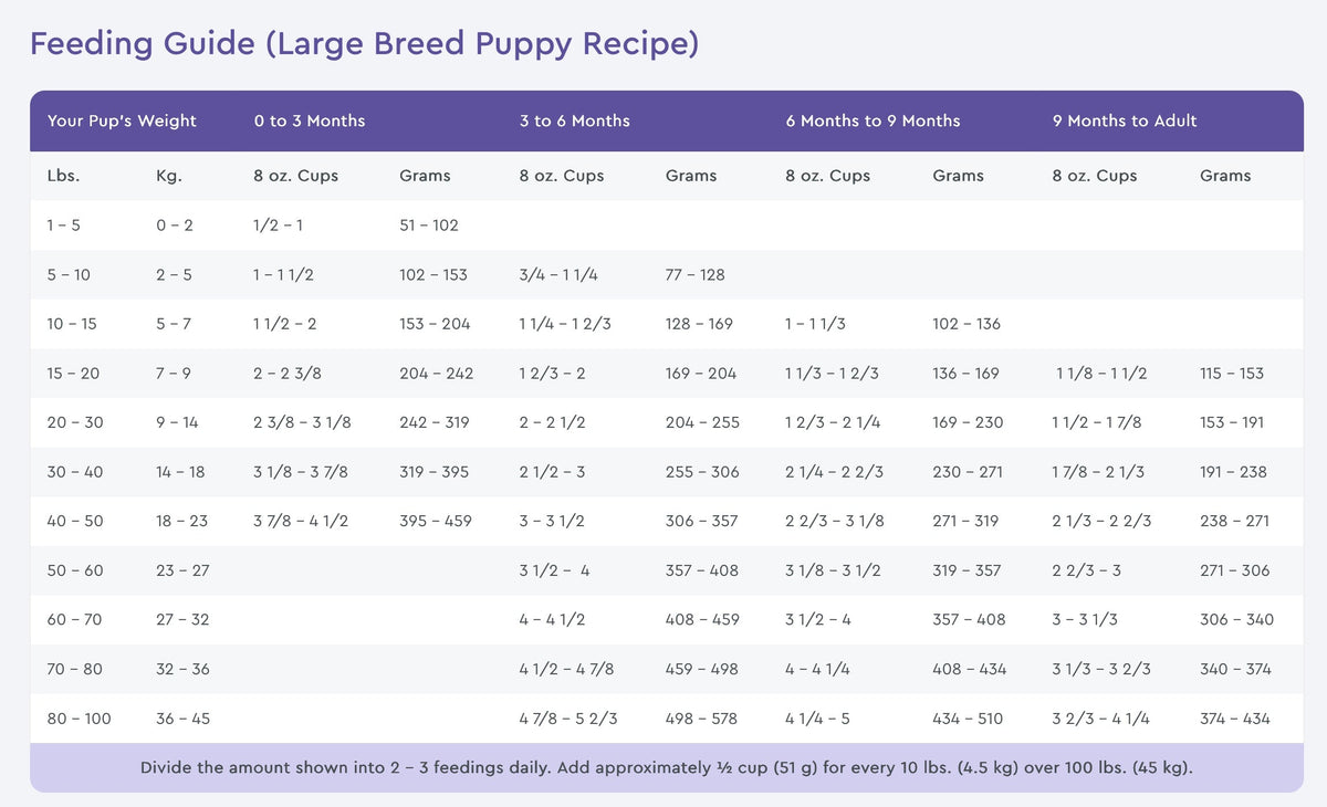 NutriSource Large Breed Puppy Chicken and Rice Dry Dog Food