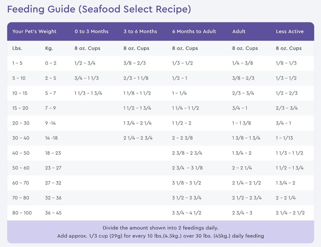 NutriSource Grain Free Seafood Select with Salmon Dry Dog Food