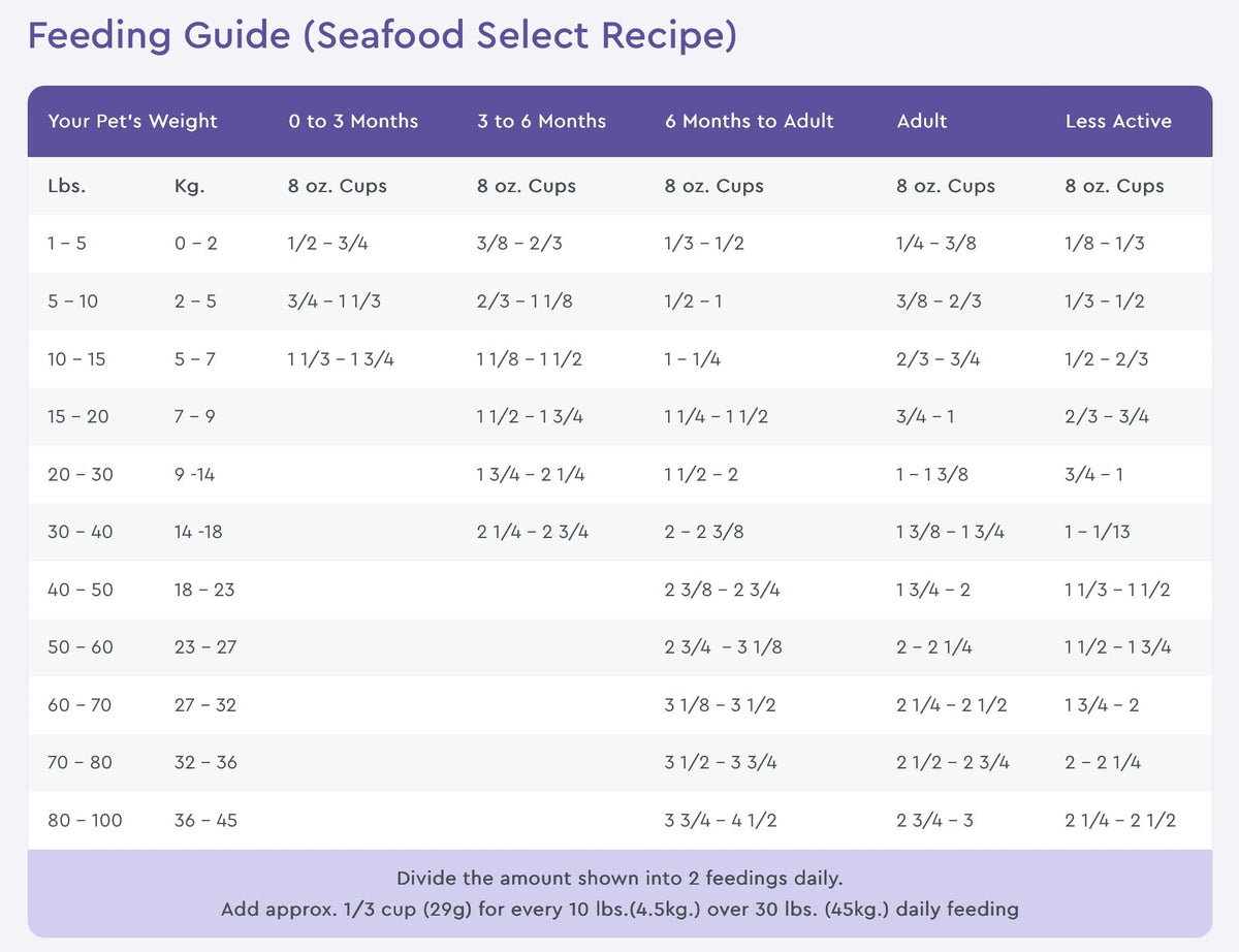 NutriSource Grain Free Seafood Select with Salmon Dry Dog Food