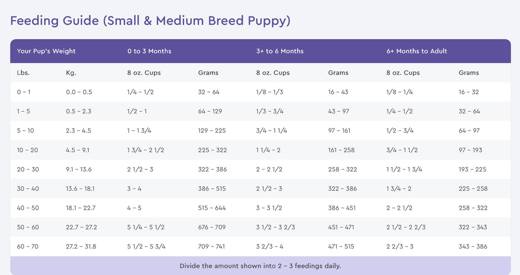 NutriSource Small and Medium Breed Puppy Chicken and Rice Dry Dog Food