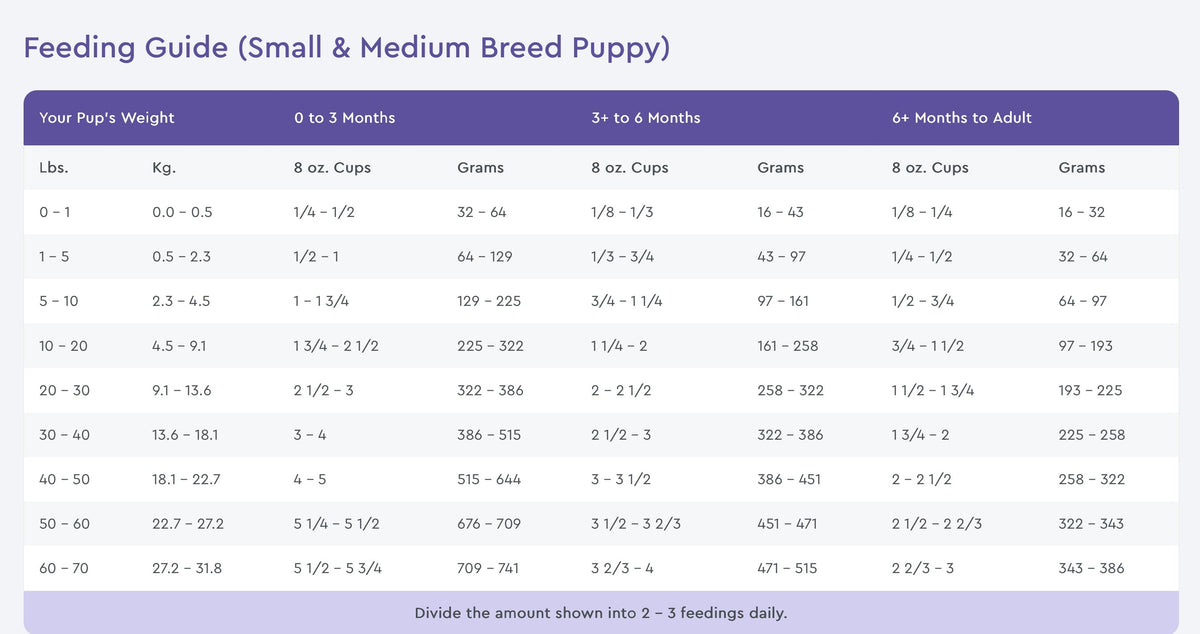 NutriSource Small and Medium Breed Puppy Chicken and Rice Dry Dog Food
