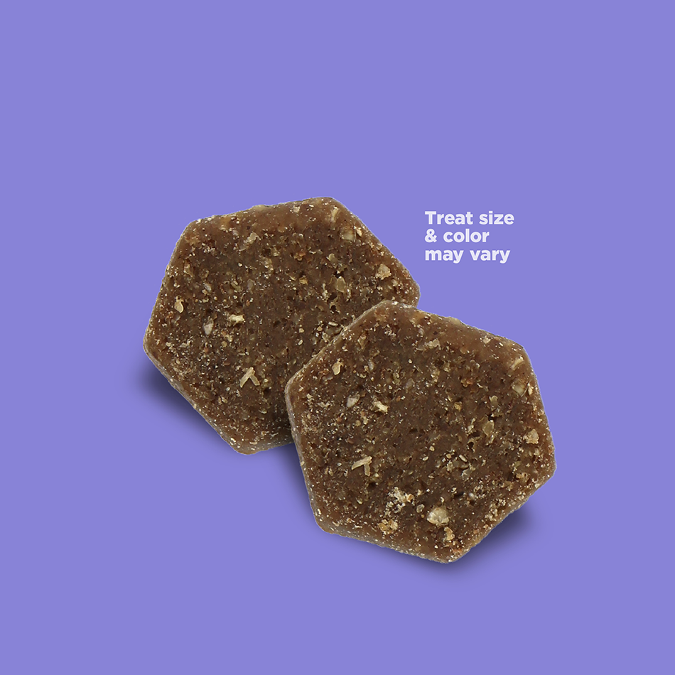 NutriSource Big Bites Grain Free with Chicken Dog Treat