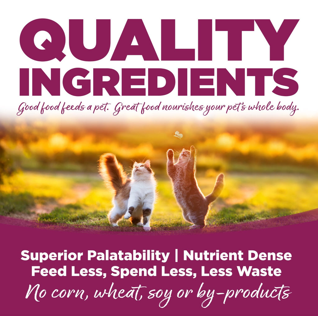 NutriSource Cat and Kitten Chicken and Rice Dry Cat Food