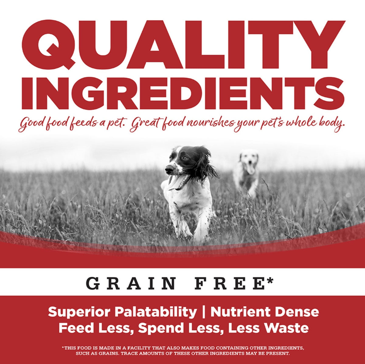 NutriSource PureVita Grain Free Beef Entrée Wet Dog Food