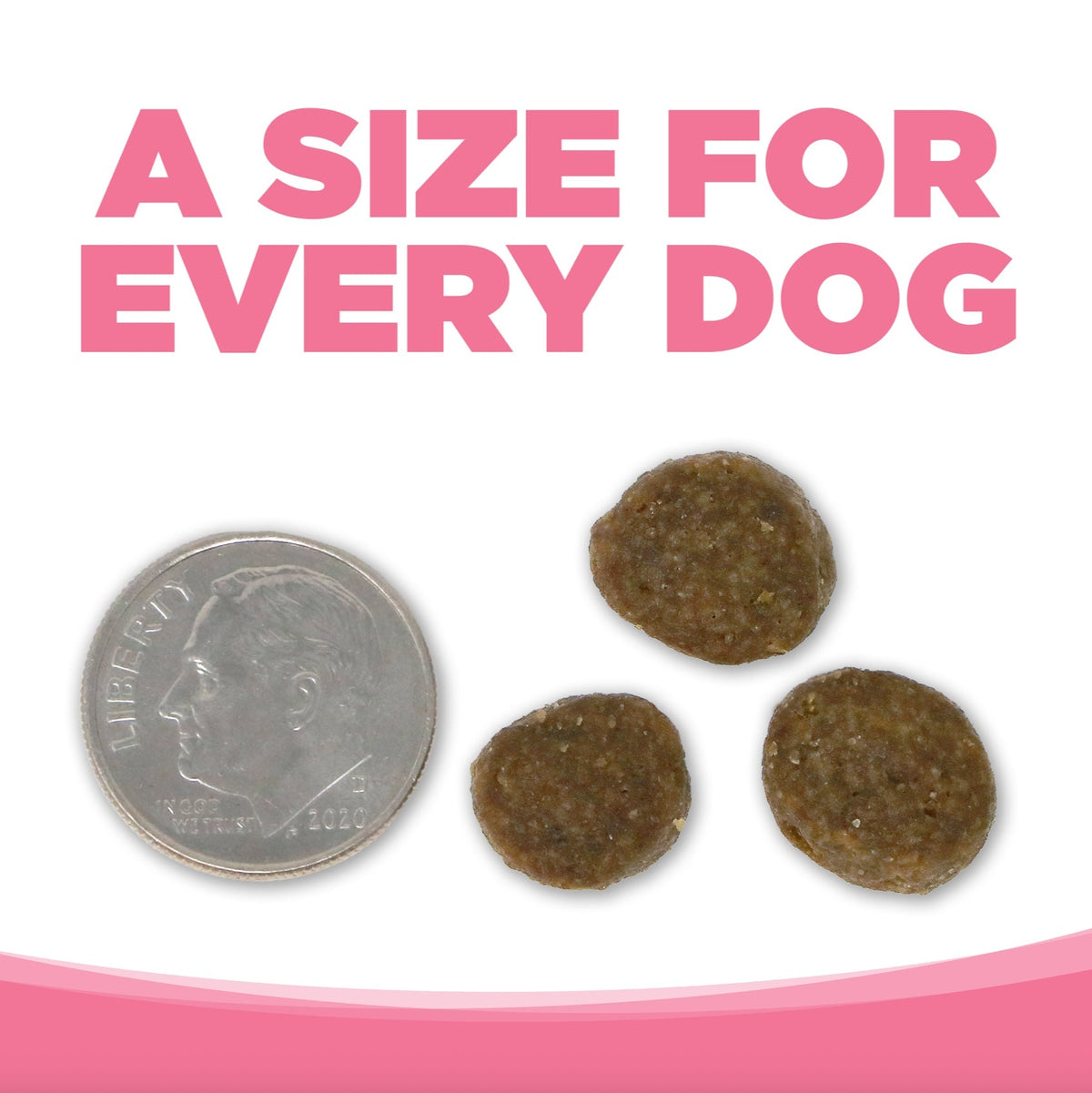 NutriSource PureVita Grain Free Salmon & Peas Formula Dry Dog Food