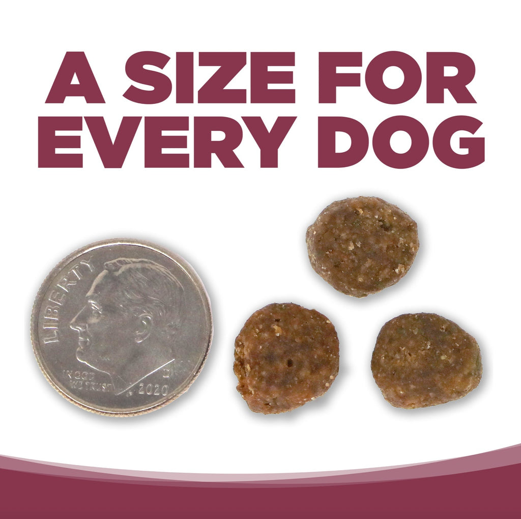 NutriSource PureVita Salmon And Potato Dry Dog Food