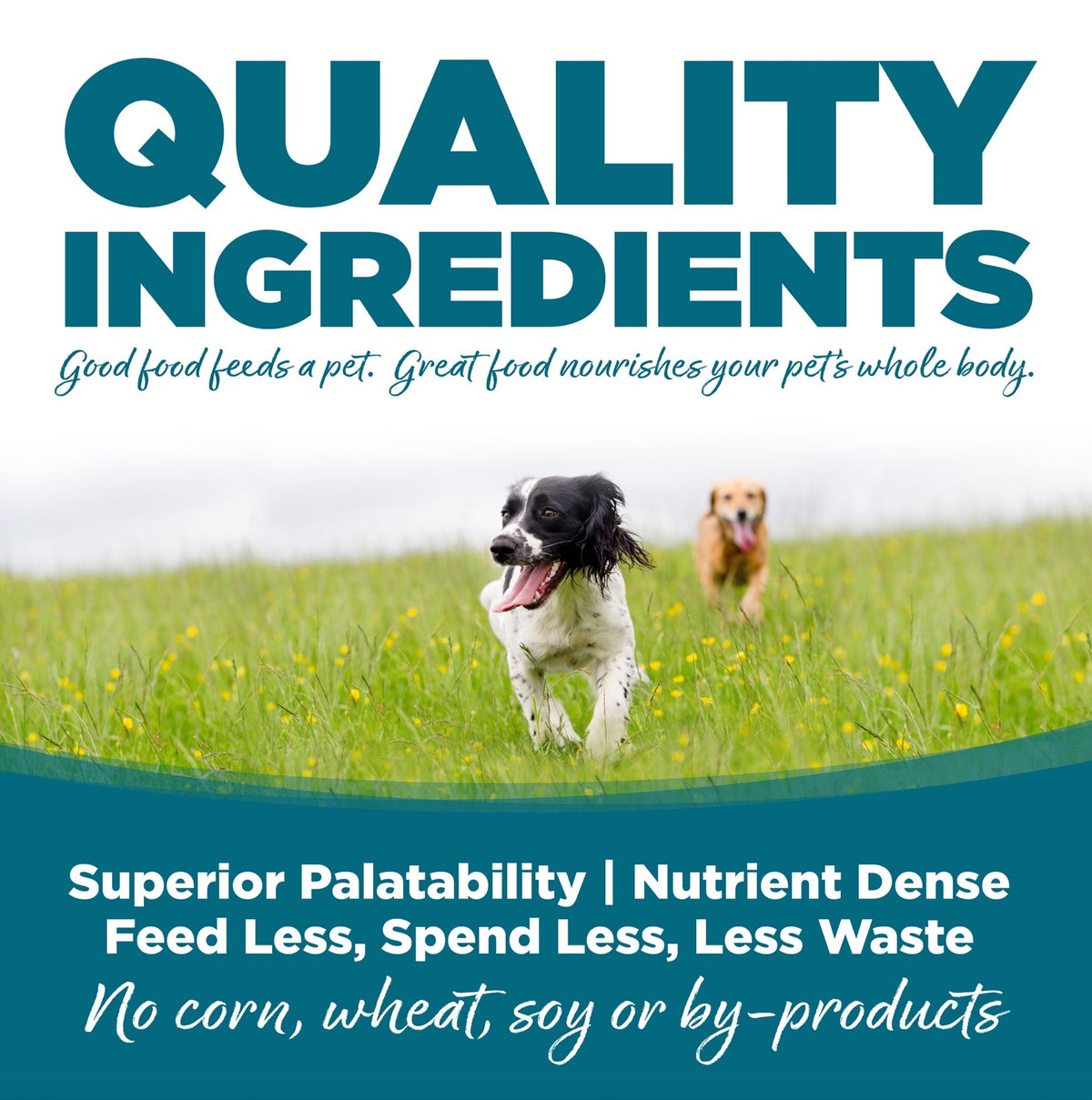 NutriSource Adult Chicken & Rice Dry Dog Food