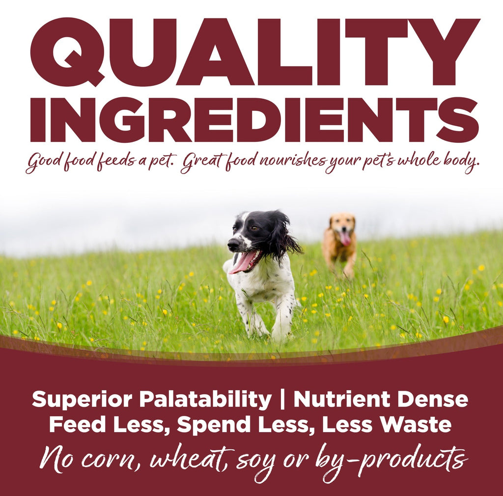 NutriSource Beef & Brown Rice Recipe Dry Dog Food