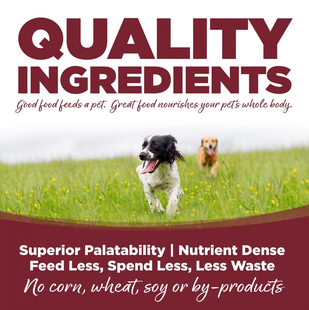 NutriSource Beef & Rice Recipe Canned Dog Food