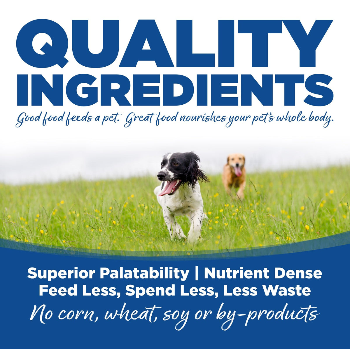 NutriSource Choice Whitefish Meal and Rice Food for Dogs