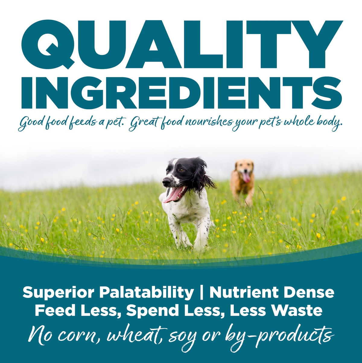 NutriSource Adult Chicken & Rice Canned Dog Food