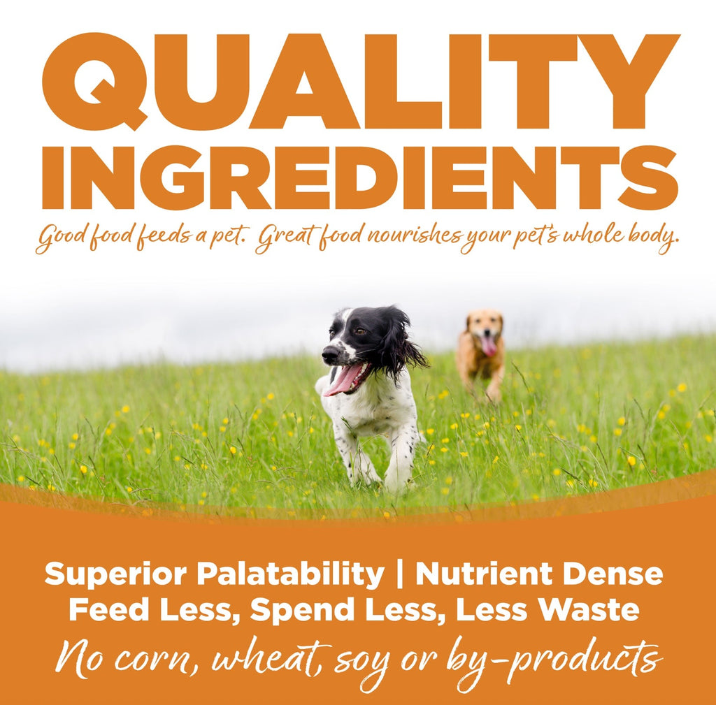 NutriSource Lamb Meal and Rice Dry Dog Food