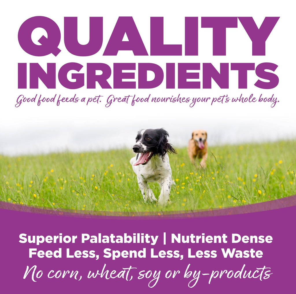 NutriSource Large Breed Puppy Chicken and Rice Dry Dog Food