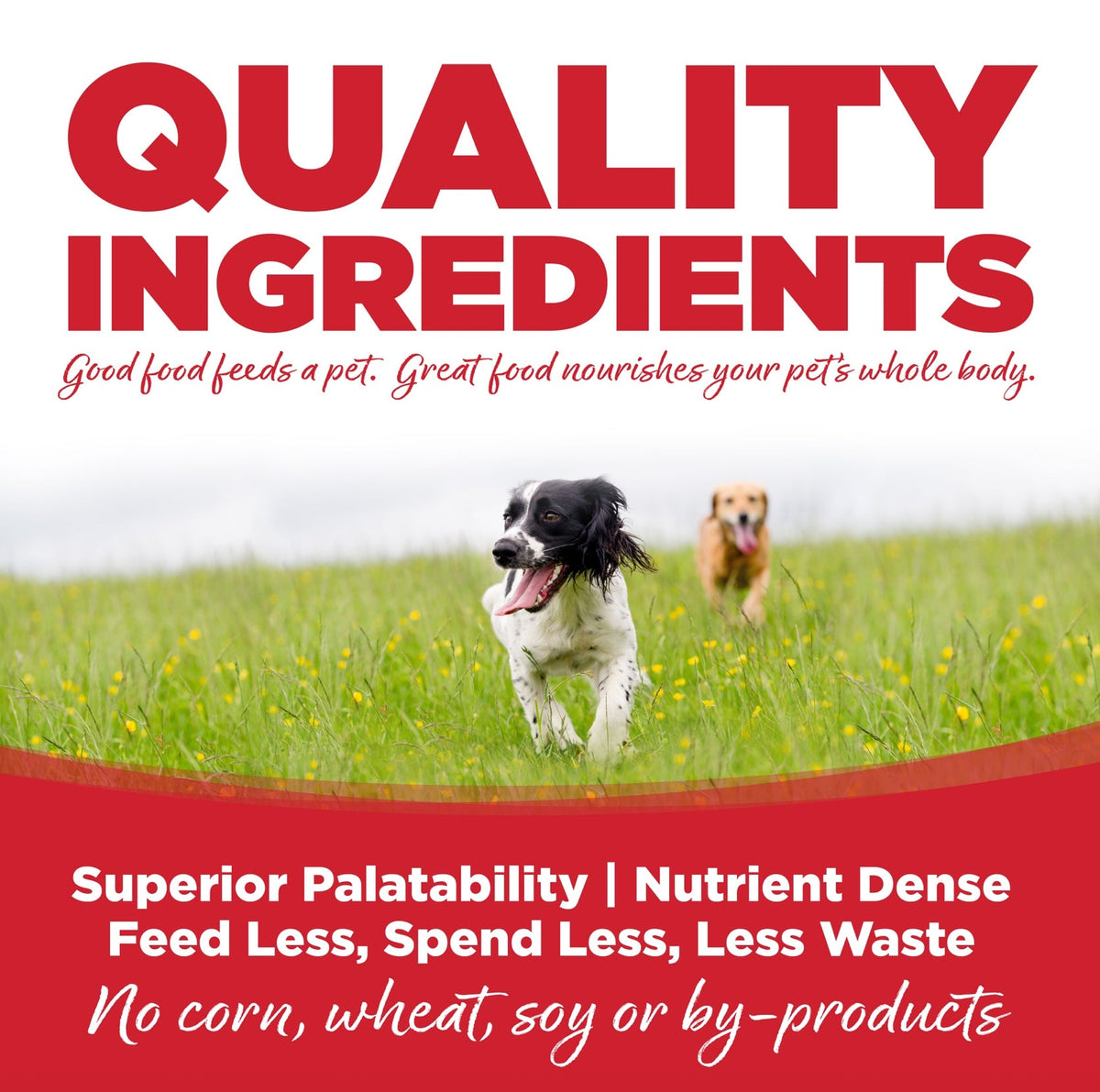 NutriSource Large Breed Beef & Rice Recipe Dry Dog Food