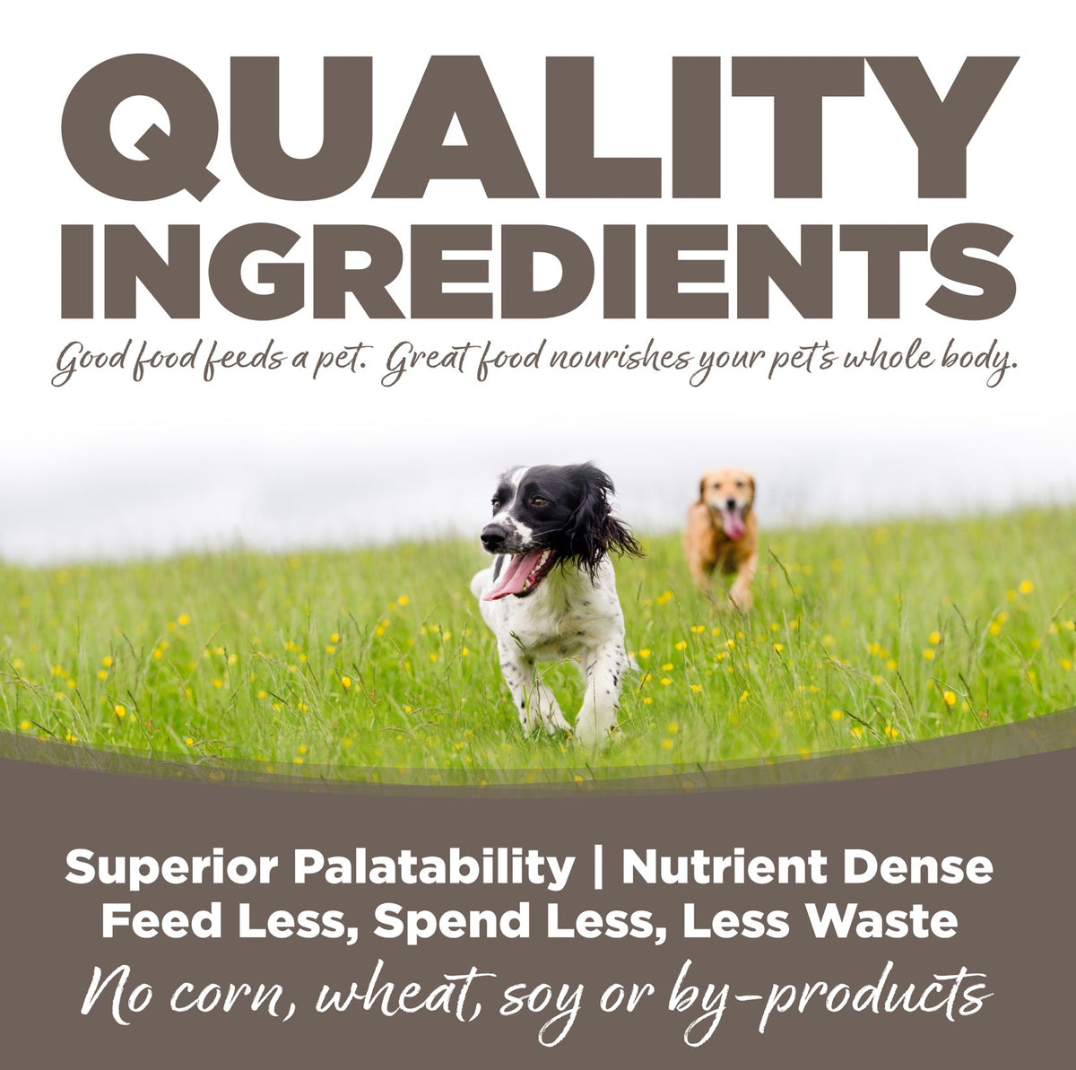 Nutrisource Senior Canned Dog Food