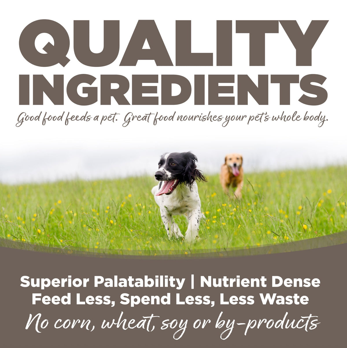 NutriSource Senior Chicken and Rice Dry Dog Food