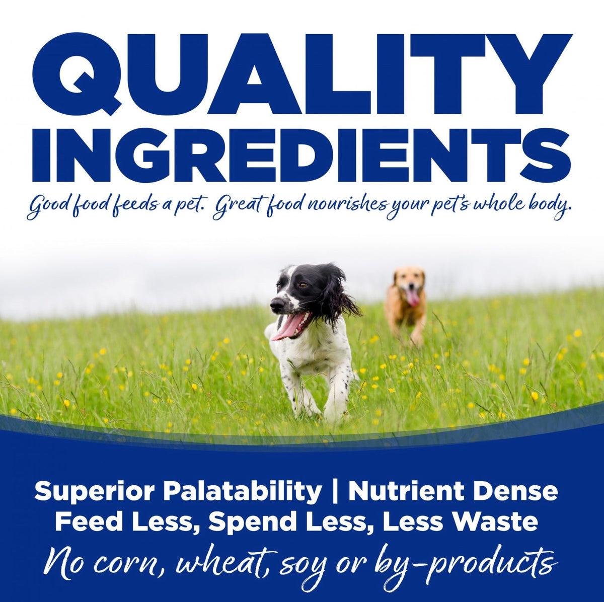 NutriSource Adult Trout & Rice Canned Dog Food