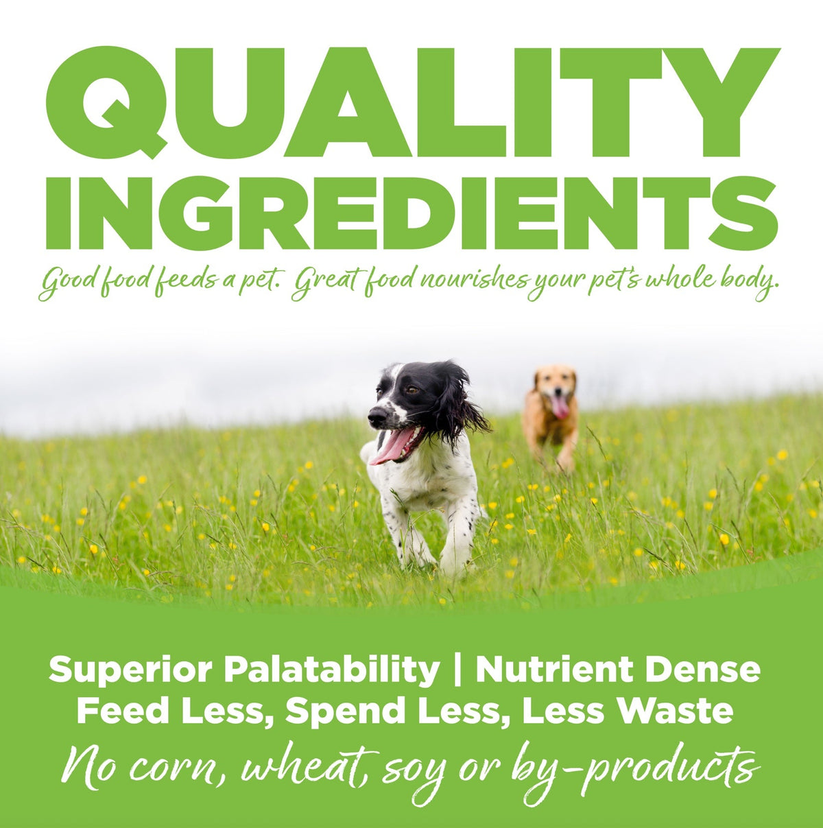 NutriSource Weight Management Chicken and Rice Dry Dog Food