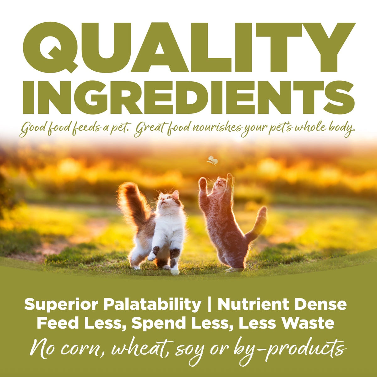 NutriSource Senior Weight Management Chicken and Rice Dry Cat Food