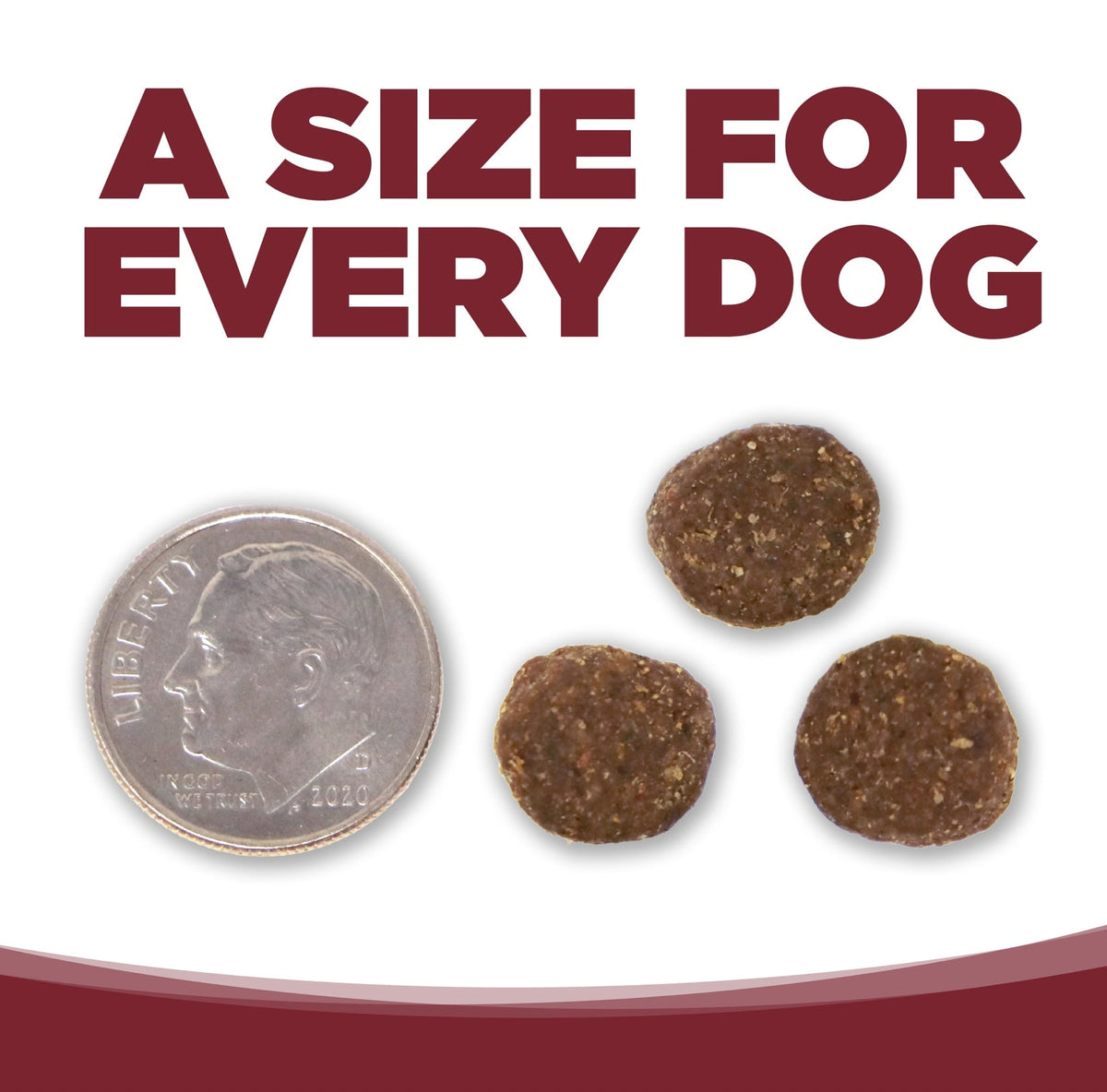 NutriSource Beef & Brown Rice Recipe Dry Dog Food