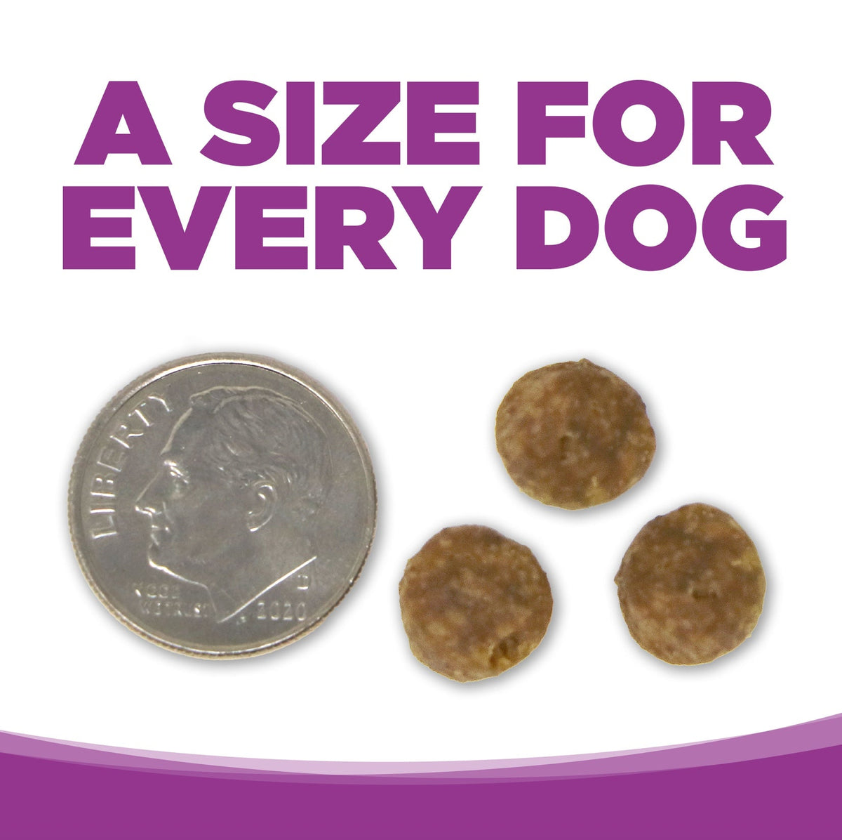 NutriSource Grain Free Large Breed Puppy Recipe Dry Dog Food