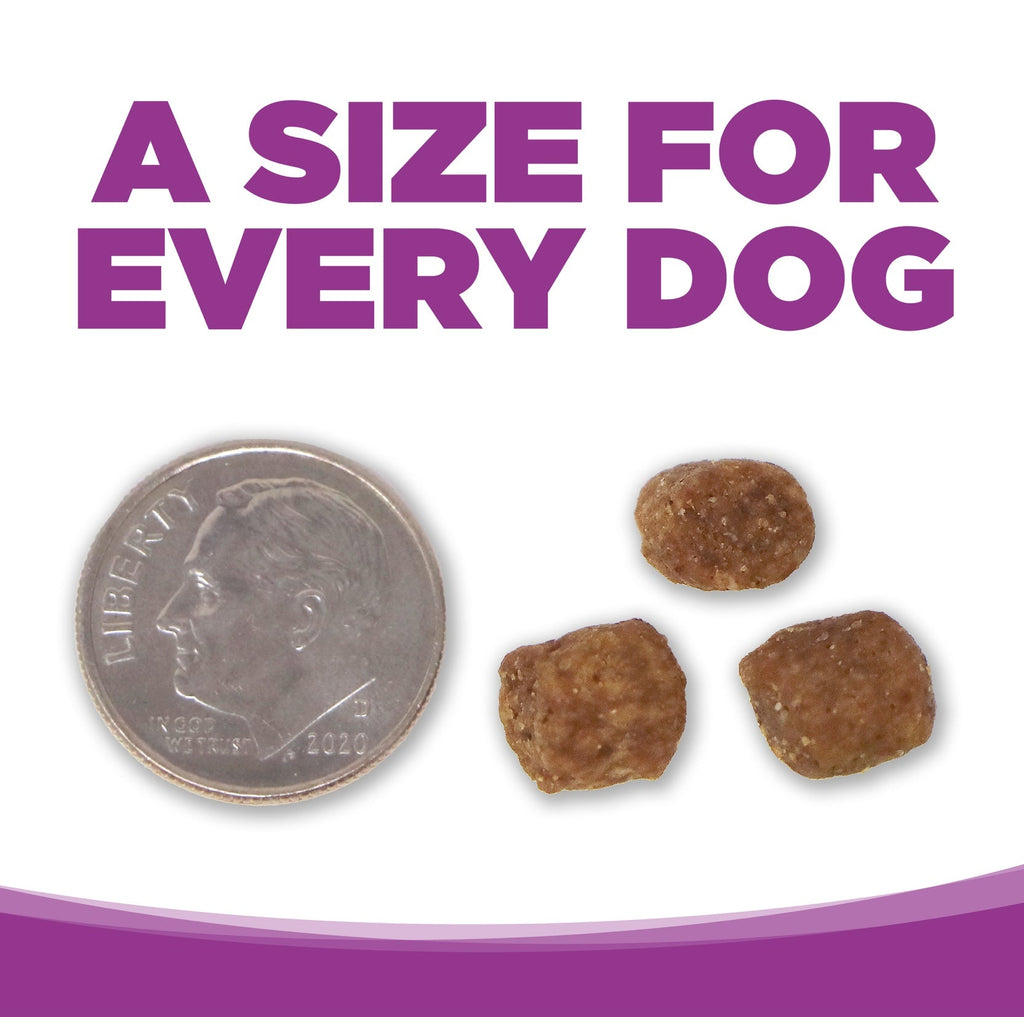 NutriSource Large Breed Puppy Chicken and Rice Dry Dog Food