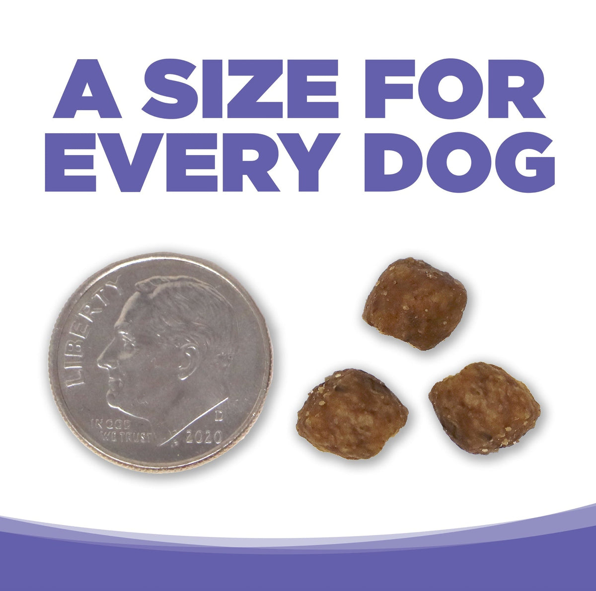 NutriSource Small and Medium Breed Puppy Chicken and Rice Dry Dog Food