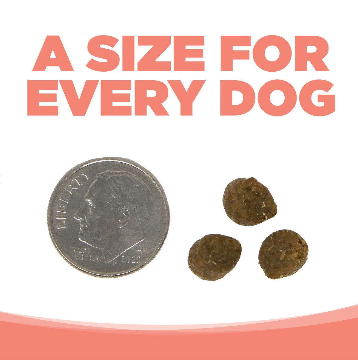 NutriSource Grain Free Small Breed Seafood Select Dry Dog Food