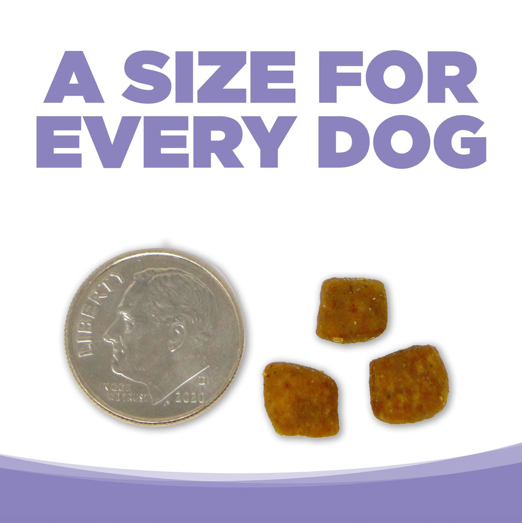NutriSource Grain Free Small & Medium Breed Puppy Recipe Dry Dog Food