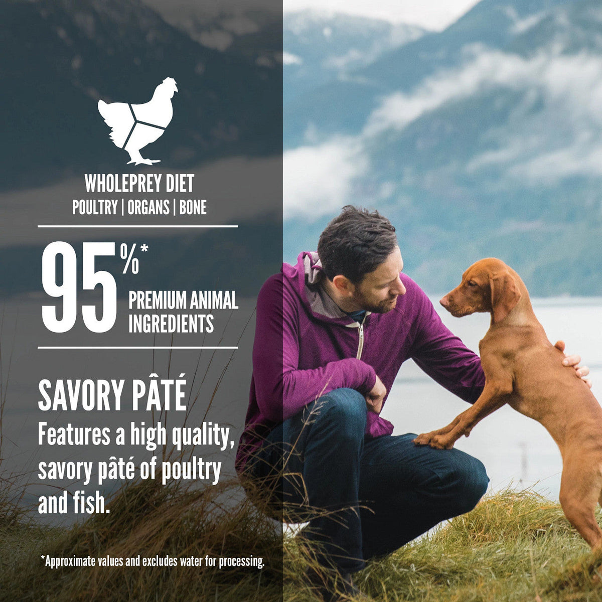 Orijen Premium Puppy Poultry & Fish Pate Canned Dog Food