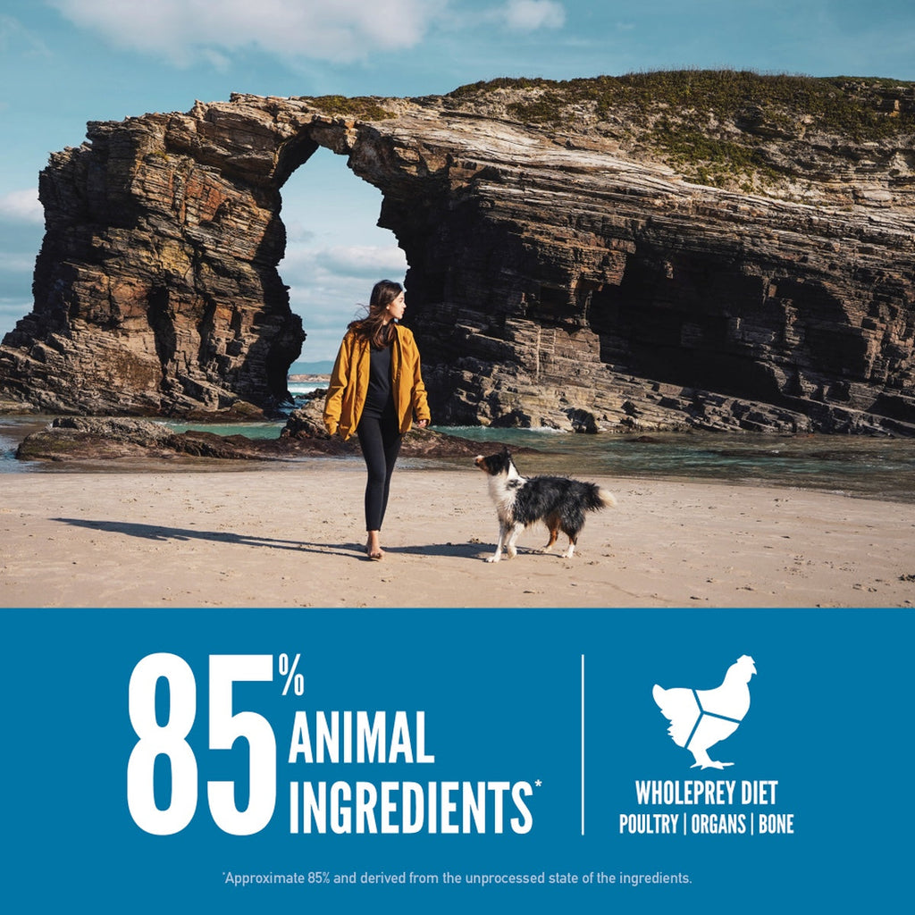 ORIJEN Six Fish Dry Dog Food