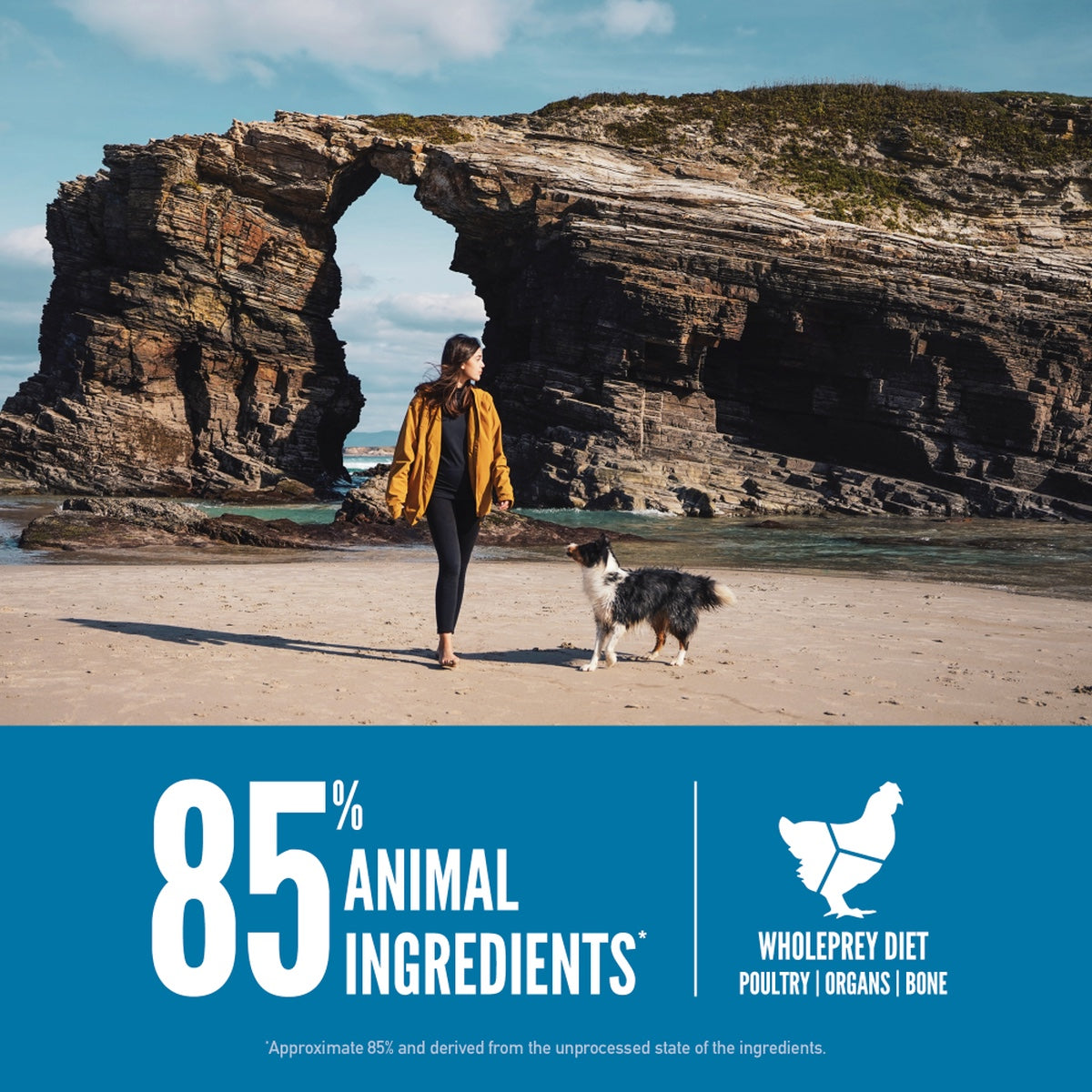 ORIJEN Six Fish Dry Dog Food