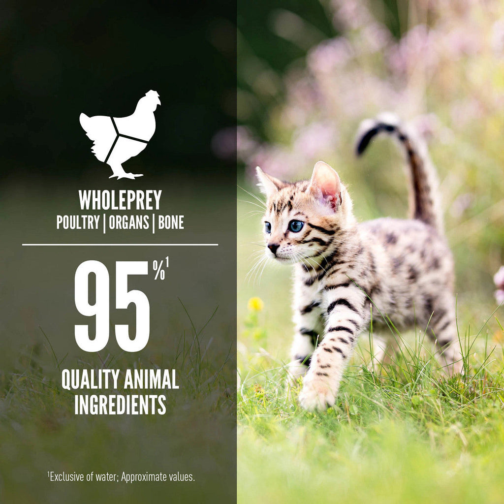 Orijen Premium Chicken & Salmon Entrée in Bone Broth Canned Kitten Food