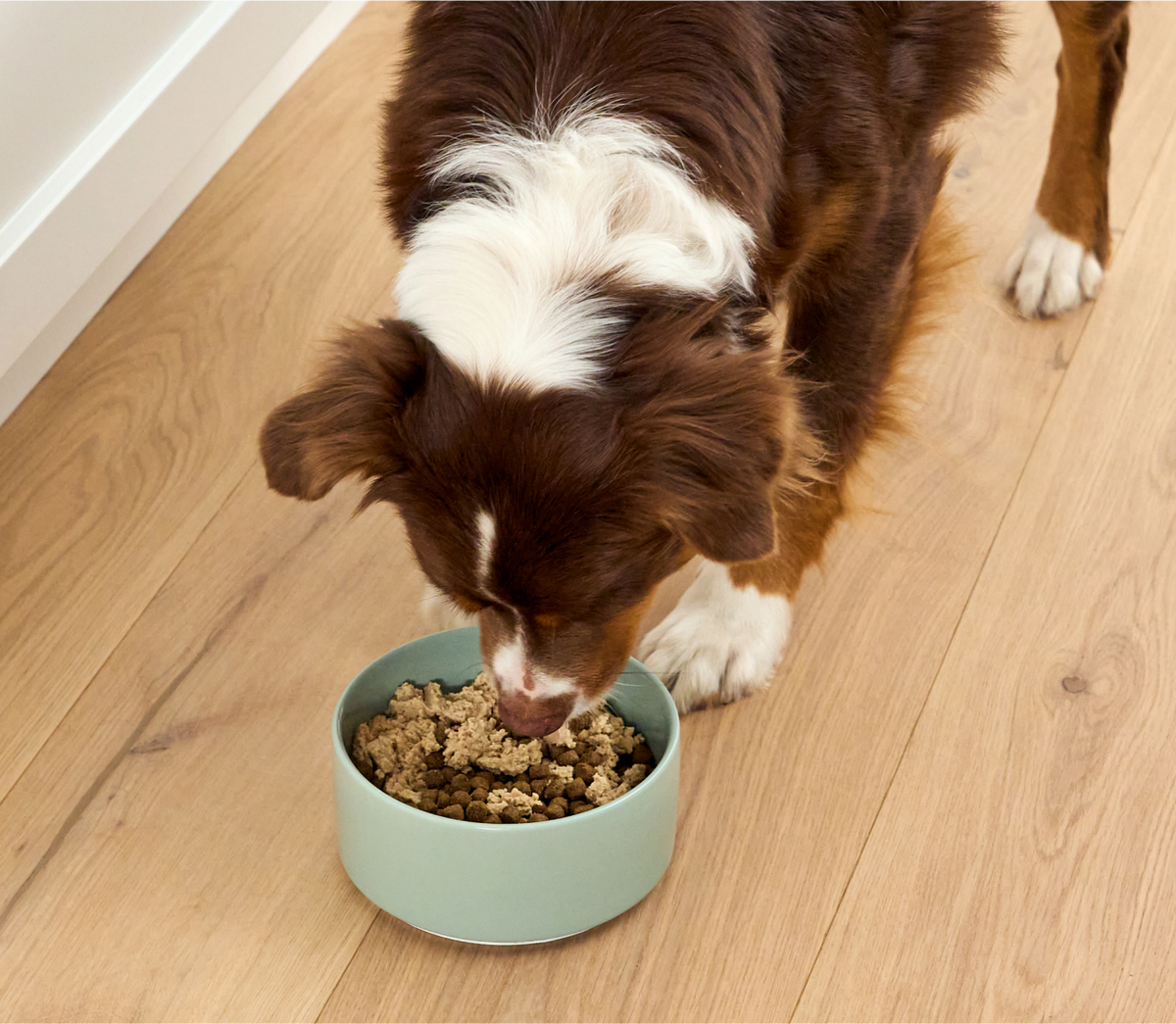 Open Farm Silky Mousse Salmon & Cod Canned Dog Topper