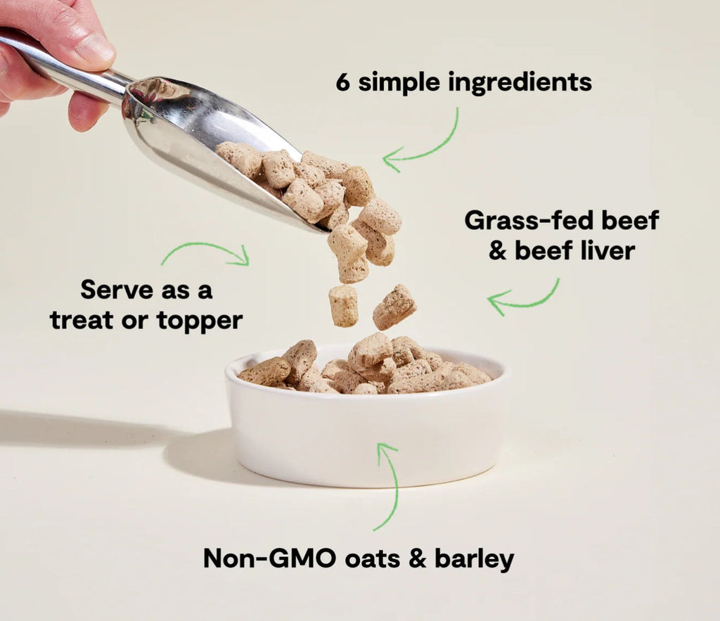 Open Farm Goodbowl Beef Recipe Freeze Dried Raw Topper for Dogs