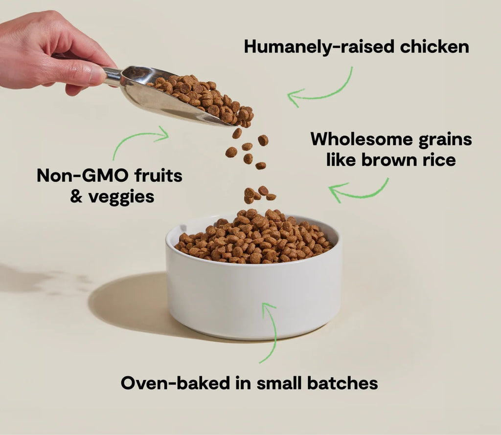 Open Farm Goodbowl Harvest Chicken and Brown Rice Recipe Dry Dog Food