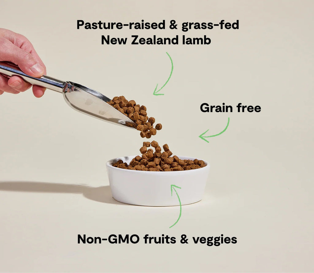 Open Farm Grain Free Pasture-Raised Lamb Dry Dog Food