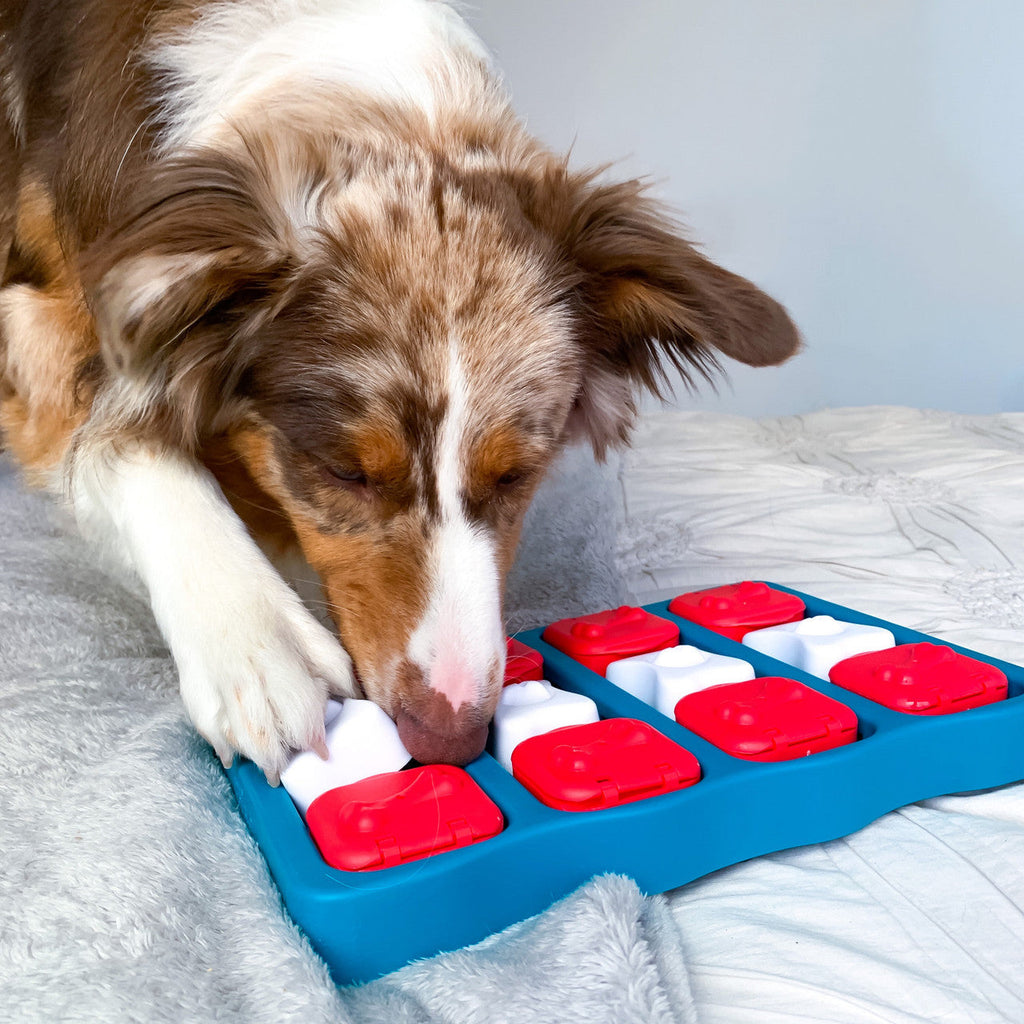 Outward Hound Dog Brick Interactive Treat Puzzle Dog Toy