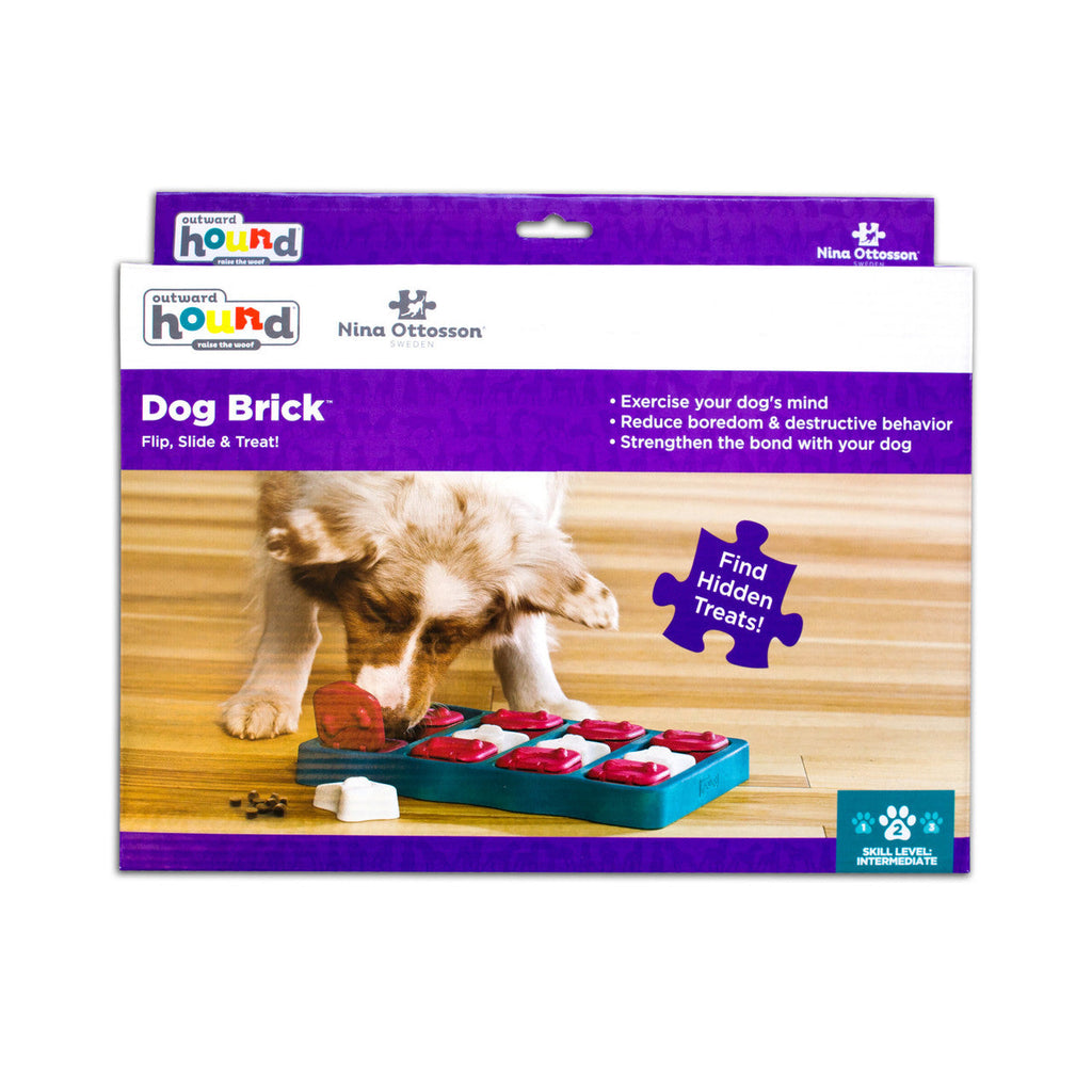 Outward Hound Dog Brick Interactive Treat Puzzle Dog Toy