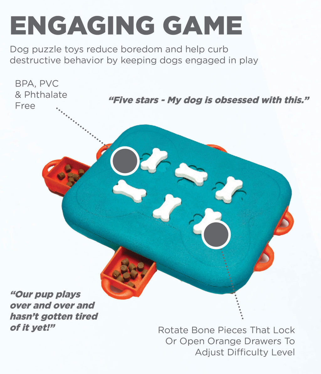 Outward Hound Dog Casino Interactive Treat Puzzle Dog Toy