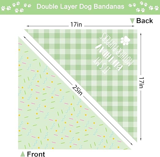 Pet Birthday Bandana Large