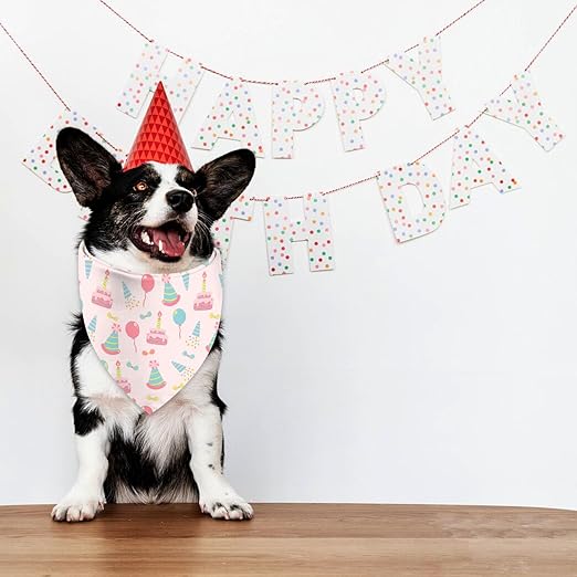 Pet Birthday Bandana Large