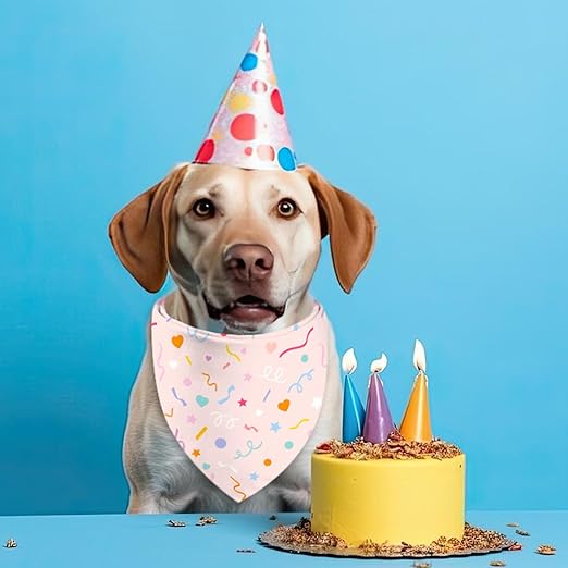 Pet Birthday Bandana Large