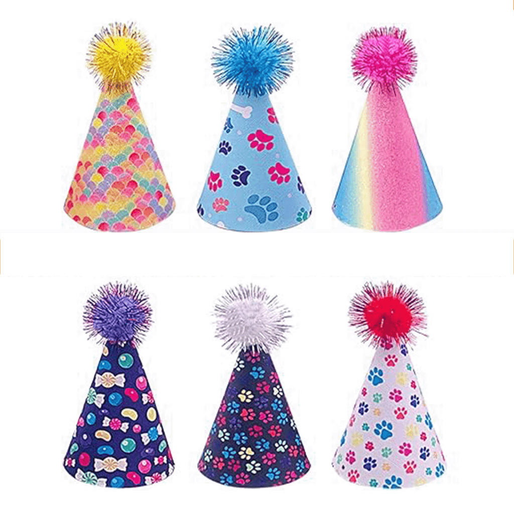 Pet Birthday Hat X-Large
