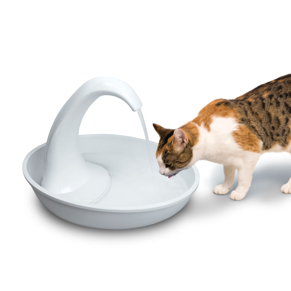Pioneer Pet Swan Pet Fountain