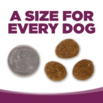 NutriSource PureVita Grain Free Pork & Peas Dry Dog Food