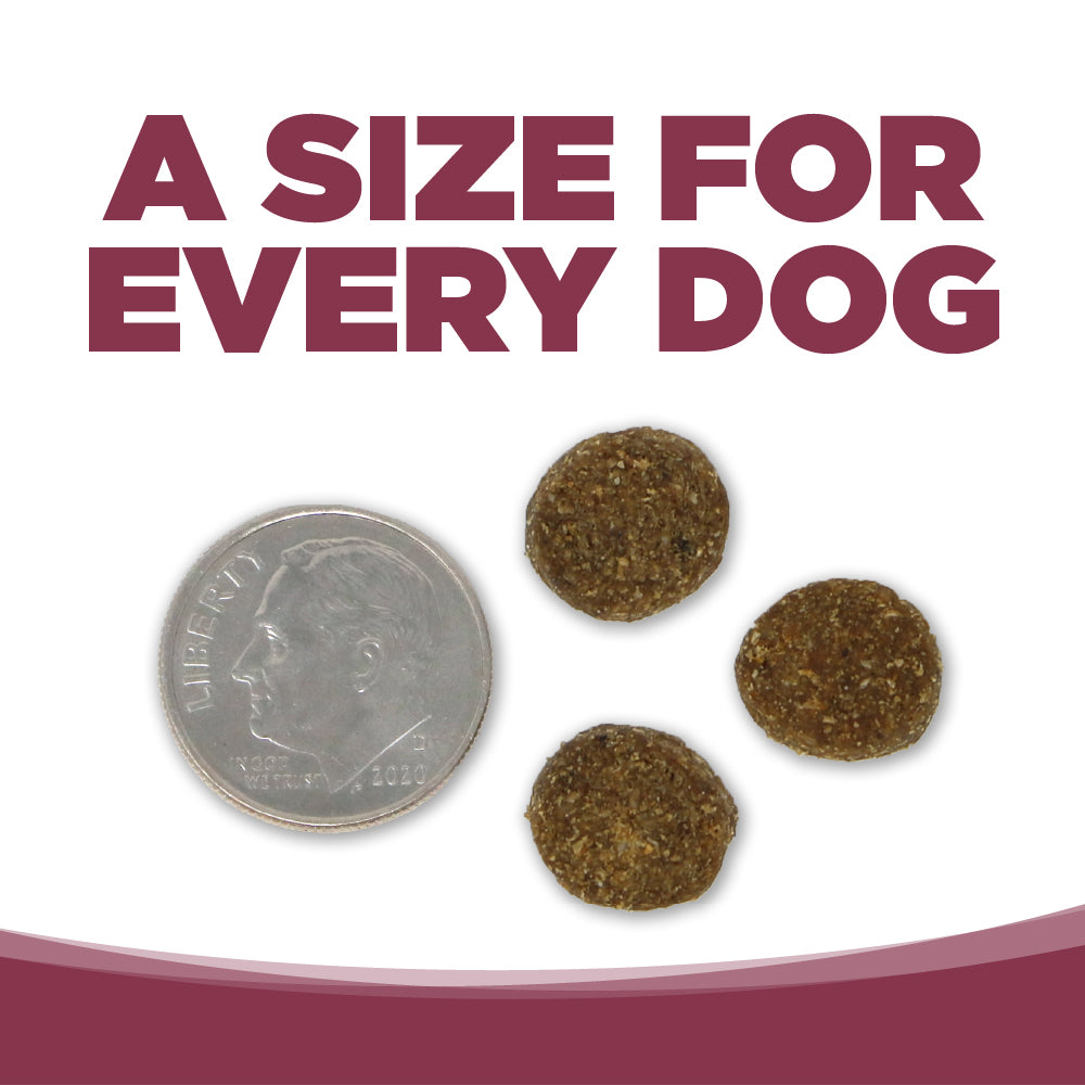 NutriSource PureVita Salmon & Kale Dry Dog Food