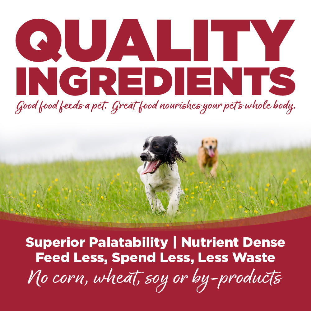 NutriSource Choice Beef Meal & Barley Recipe