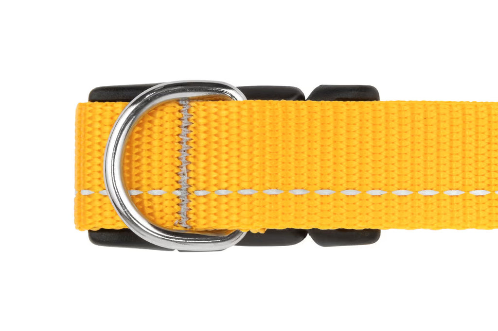 RC Pets Primary Dog Collar, Lilac